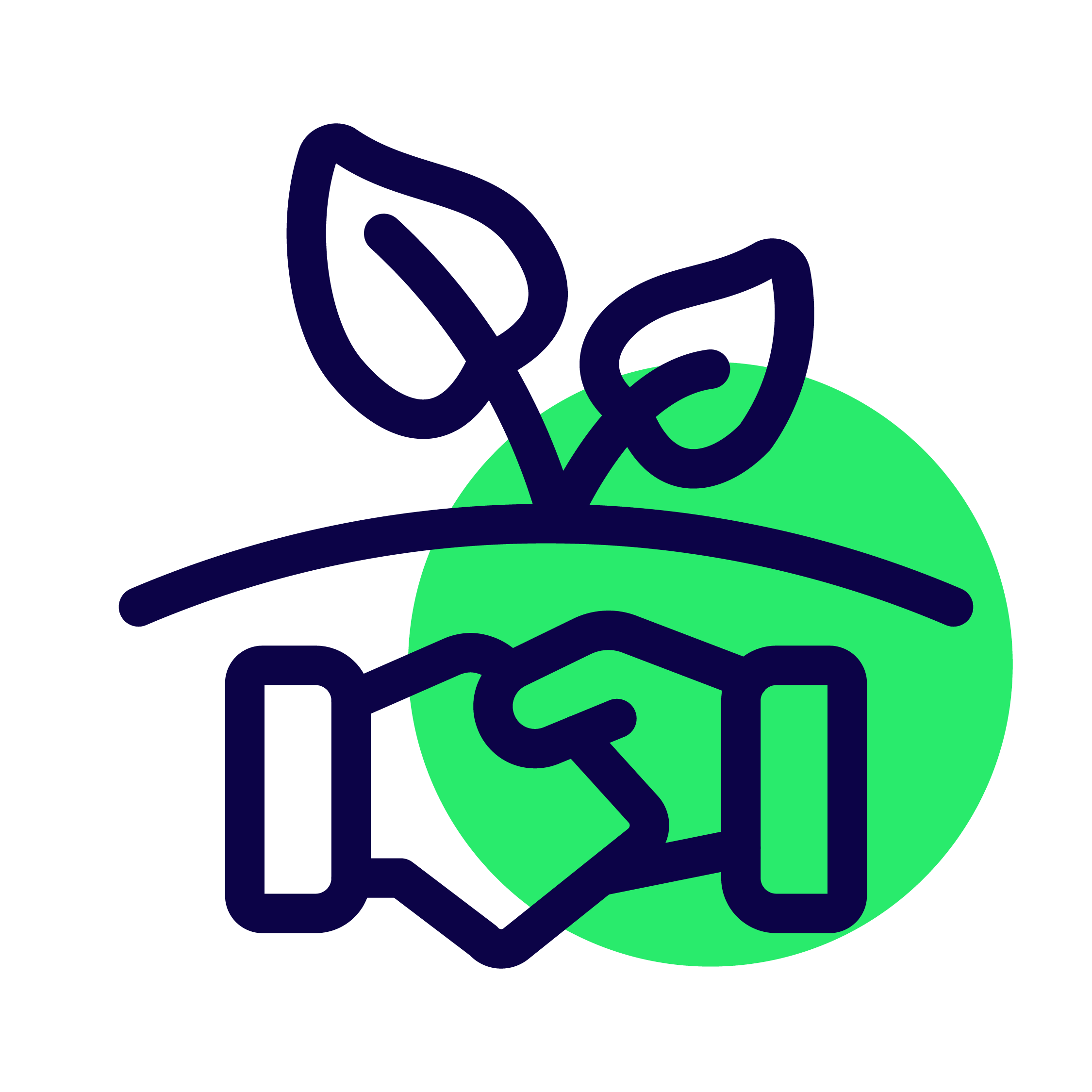 Icons Website 09